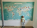 tapeta mapa sveta vliesova 260x160cm , kod 1991